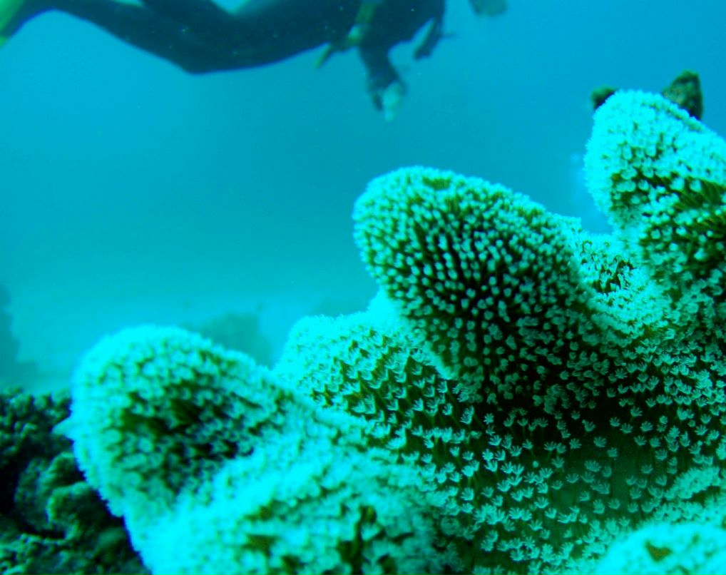 Иван Смирнов | Москва