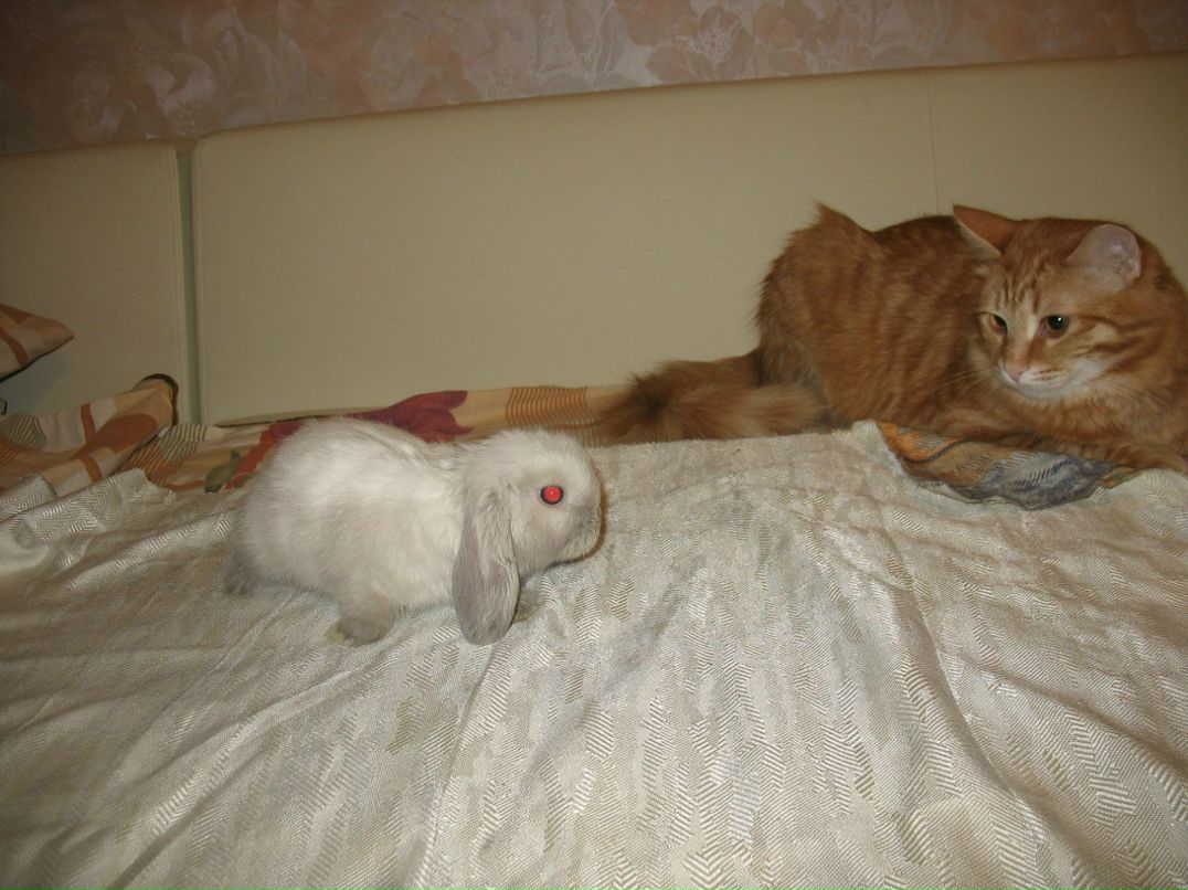 Татьяна Саитова | Москва