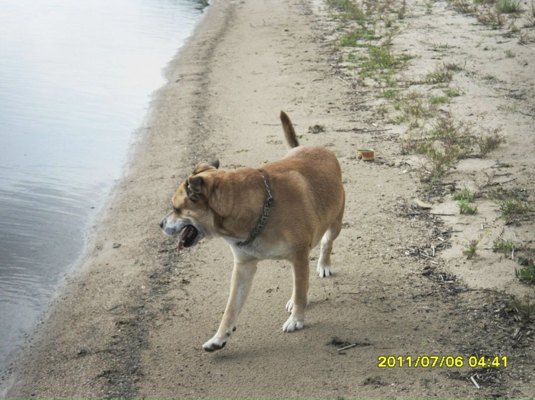 Павел Асонков | Санкт-Петербург
