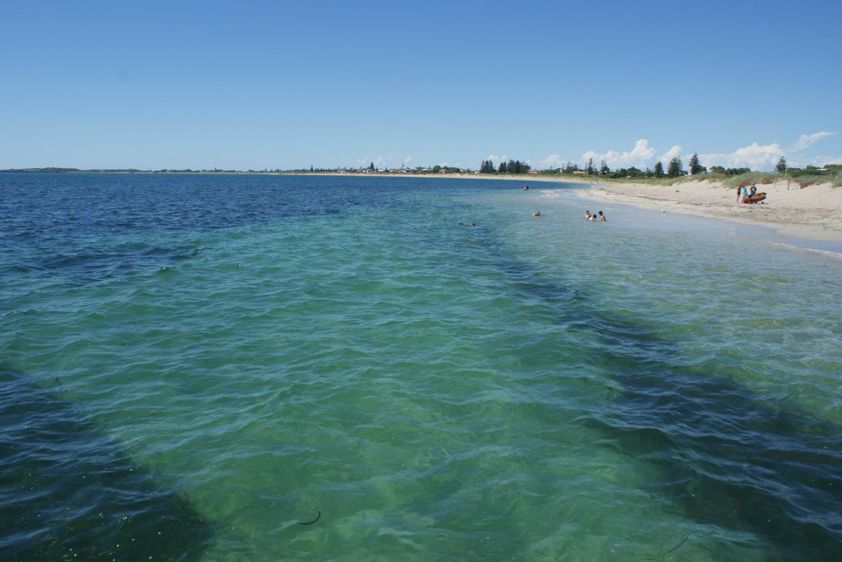 Настя Дигтяренко | Perth