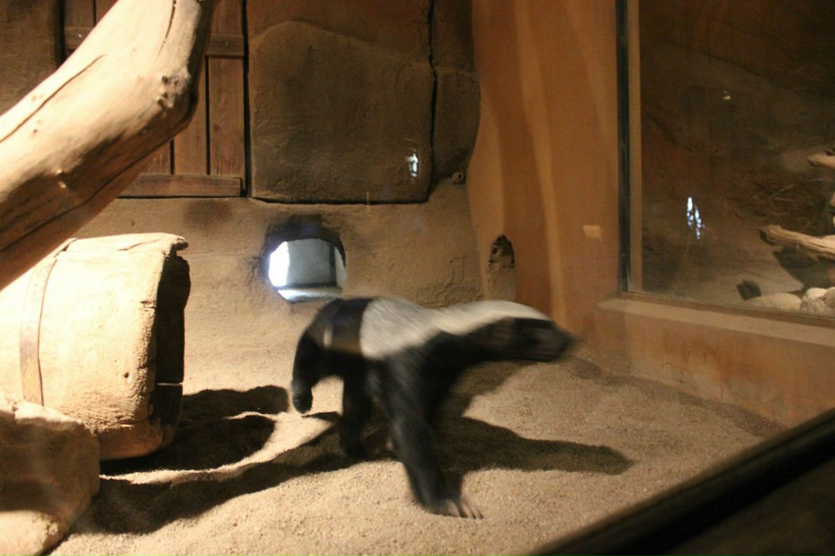 Кирилл Смирнов | Санкт-Петербург