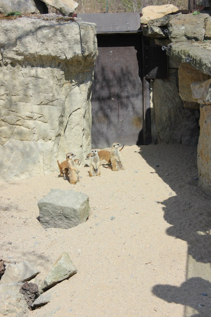 Кирилл Смирнов | Санкт-Петербург