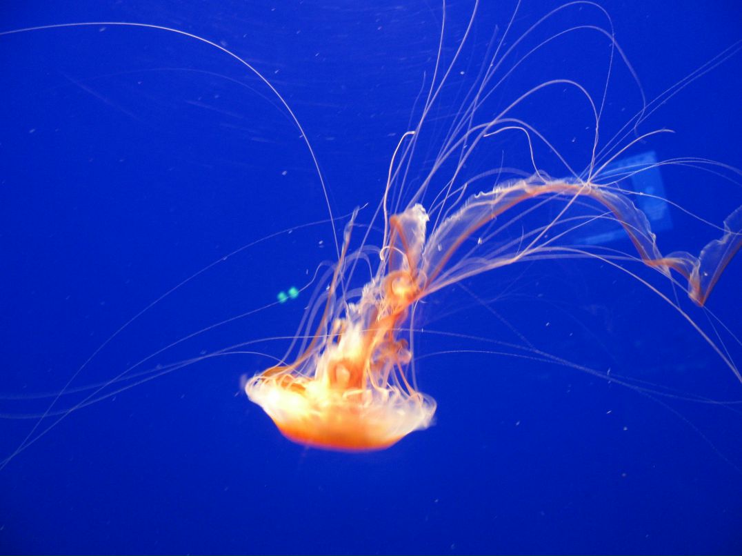 Оля Кирик | Ровно