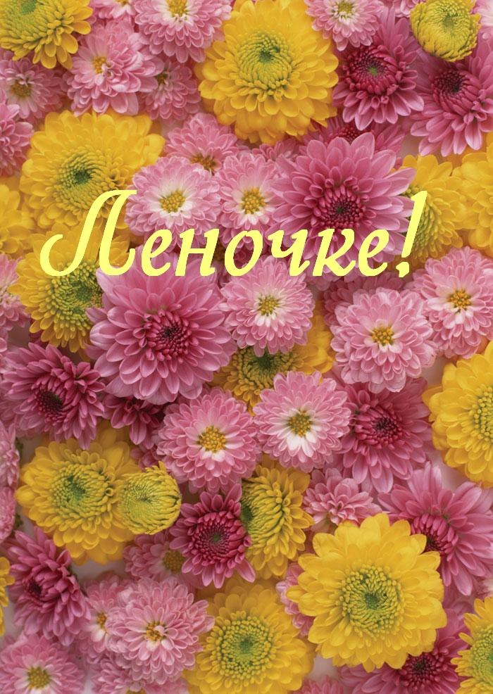 Татьяна Чубач | Полтава