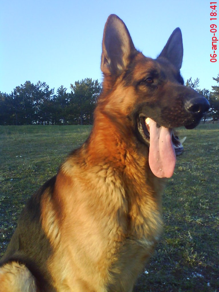 Анна Македонская | Симферополь