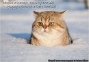 Фотография Иванова Ивана