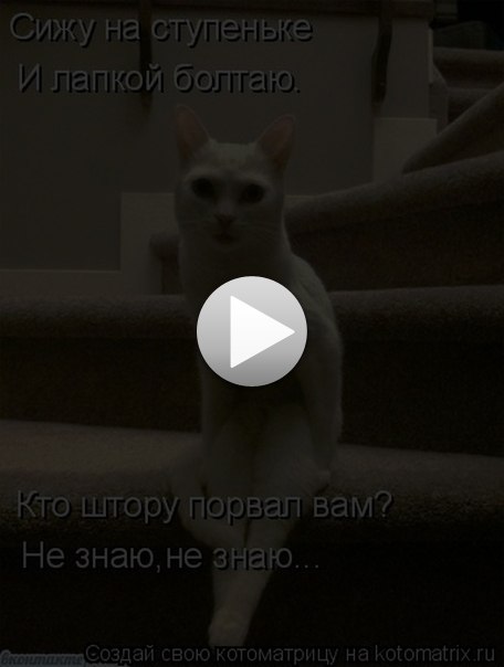 Дмитрий Севец | Кондопога