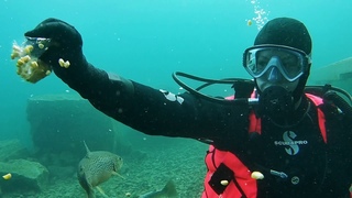 Capernwray - Fish feeding