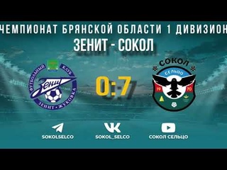 Зенит (Жуковка) - Сокол (Сельцо)  обзор матча