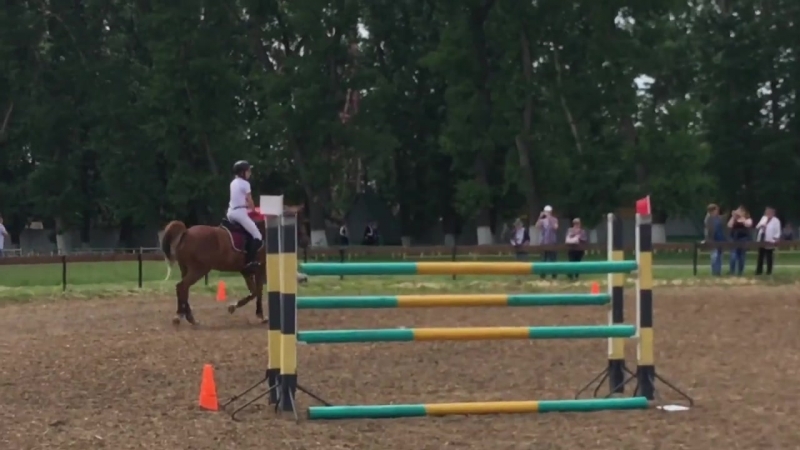 Василина и Гибкая,