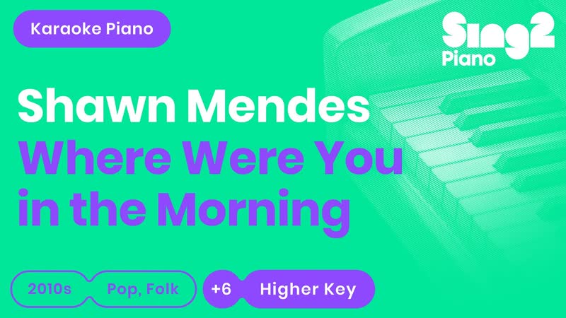 Shawn Mendes Where Were You in the Morning ( Lower Key) Karaoke