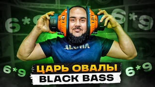 Овальный сабвуфер DL Audio Phoenix Black Bass 69