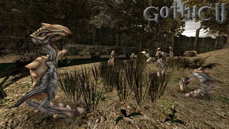 Gothic II: Ночь Ворона. Глава 2 11 Отряд