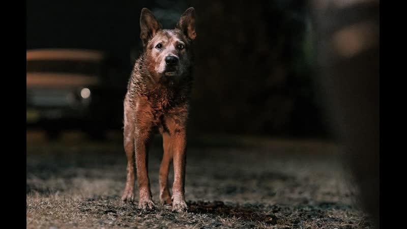 Кладбище домашних животных: Кровные узы, Pet Sematary: Bloodlines (2023,