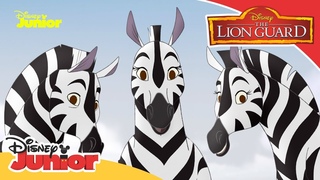Η Φρουρά των Λιονταριών | The Zebra Mastermind | The Lion Guard 🦁