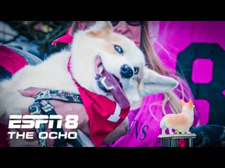 Wrong Way Loki wins by a whisker in the 2022 Corgi Races at Emerald Downs | ESPN8: The Ocho