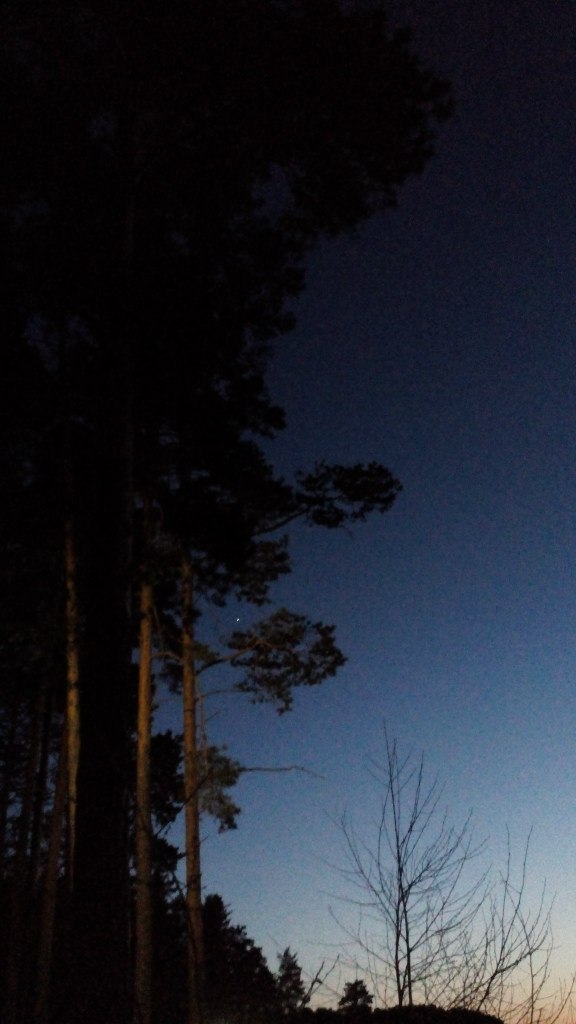 Артем Устинов | Екатеринбург