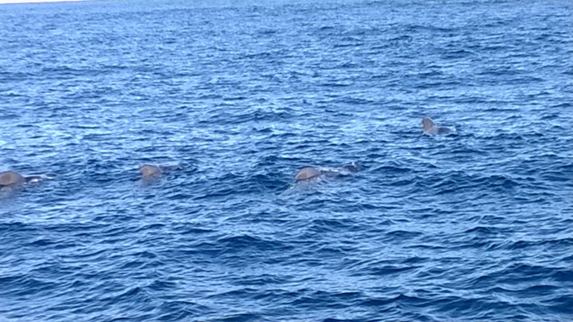 Сергей Самошин | Санкт-Петербург