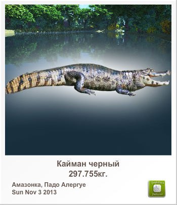 Алексей Калашников | Луганск