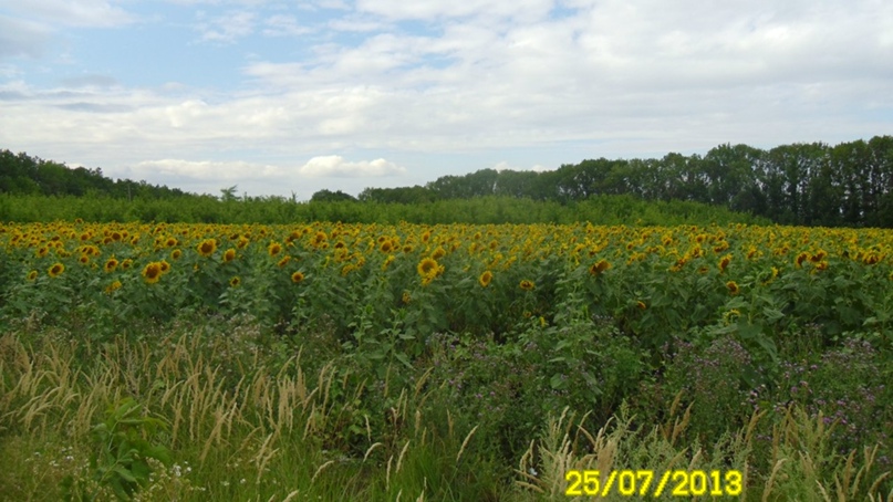 Александр Лобачев | Северодвинск