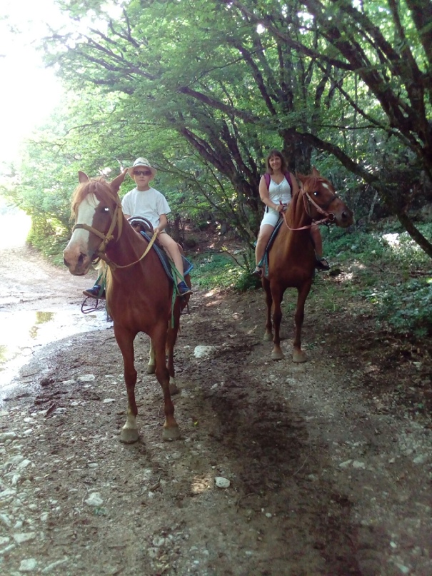 Светланка Комарова | Ревда