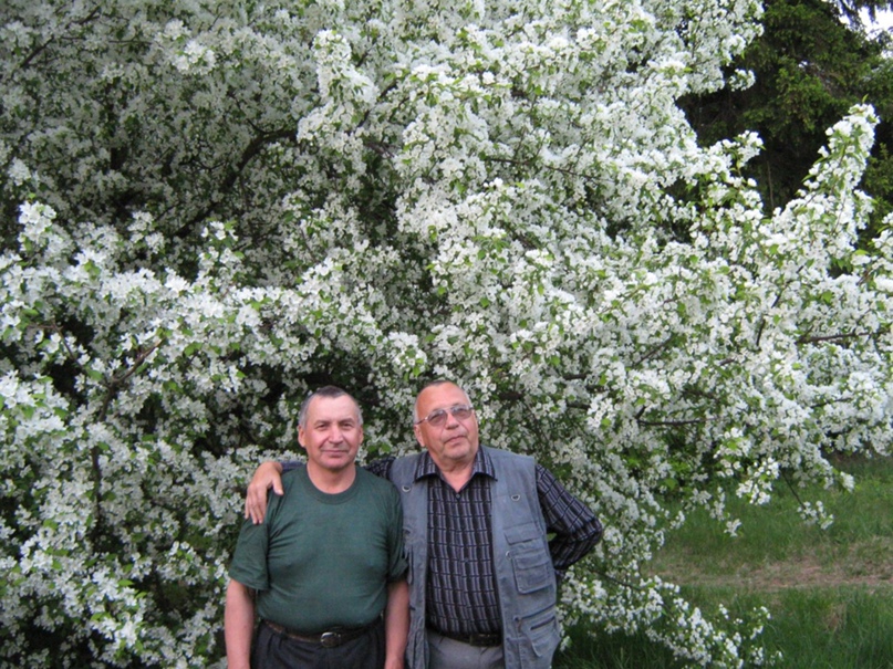 Виктор Ёлтышев | Дзержинск