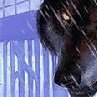 Татьяна Царегородцева | Шулка