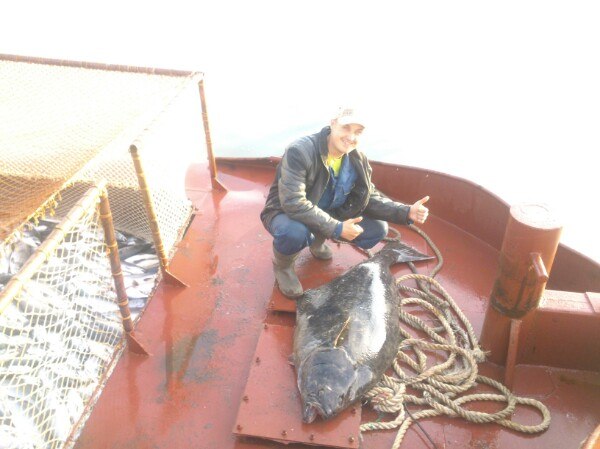 Алексей Родионов Александрович | Елизово