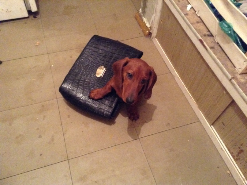 Иван Славинский | Брянск