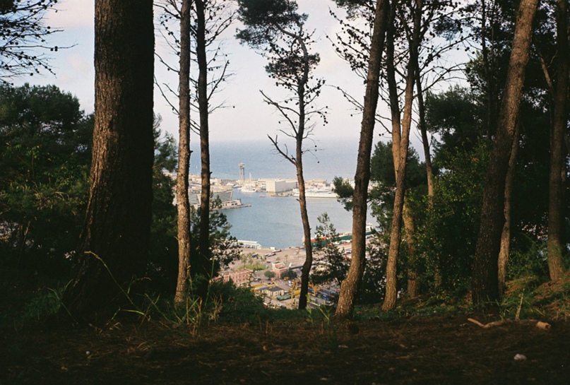 Евгений Зубарев | Москва