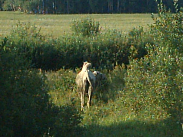 Анатолий Уваров | Москва