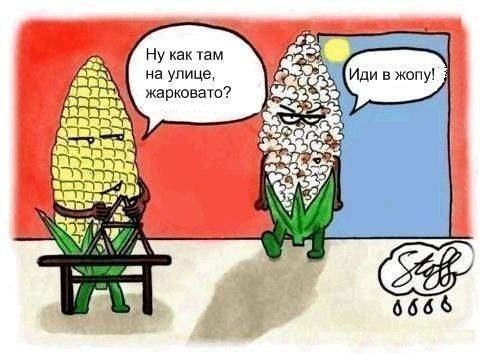 Дмитрий Чадов londo | Ленинск-Кузнецкий