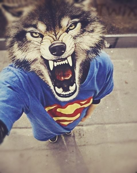 Антоха Макаров | Гомель