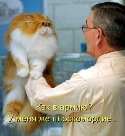 Евгений Данченко | Лиски