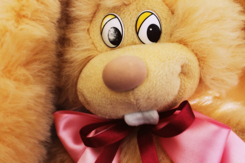 Анастасия Трапезникова | Екатеринбург