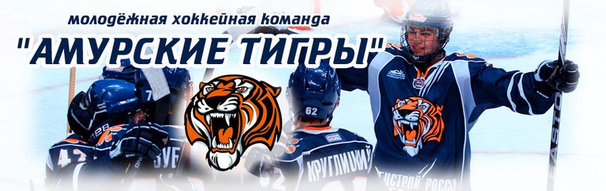 Амурские Тигры" выиграли Кубок Сахарова, "Крылья" уступили в первом матче турнир