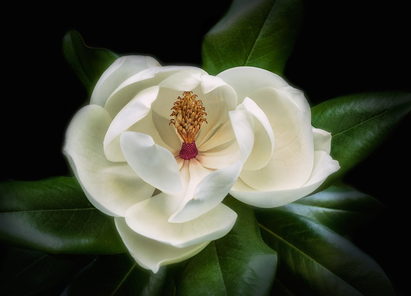 Олег Богданов | Челябинск