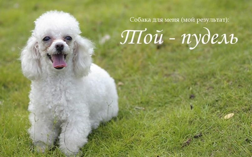 Таня Павлова | Челябинск
