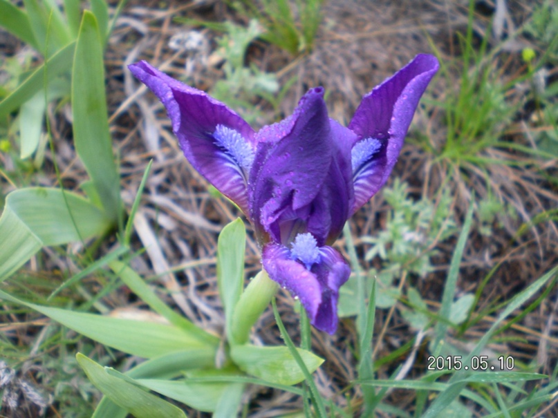 Виктория Логинова |