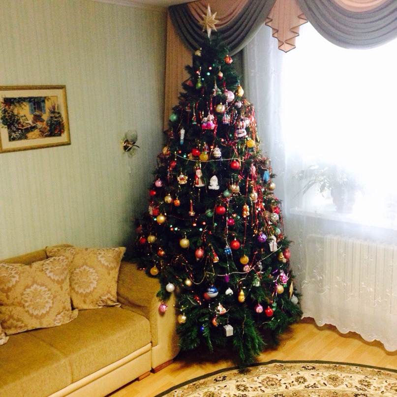 Марина Яшина | Тверь