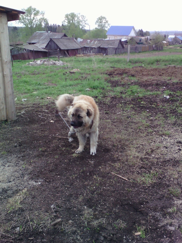 Ксения Широбокова | Ижевск