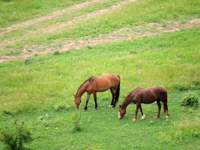 Анна Кузьмина | Санкт-Петербург