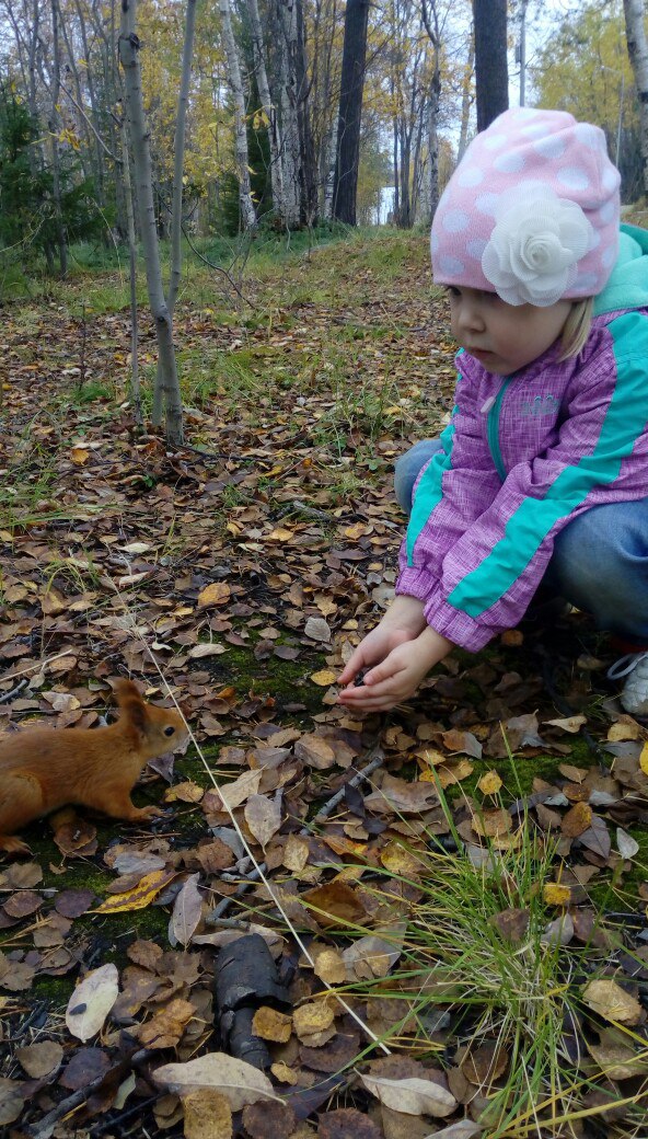 Алексей Субботин | Мончегорск