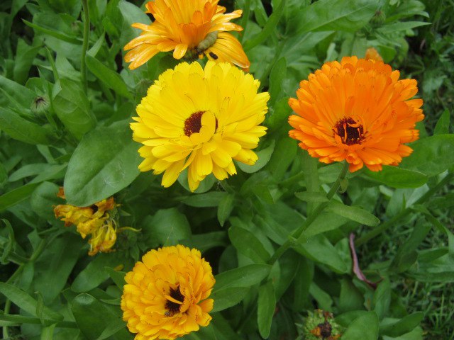 Марина Мехоношина | Кудымкар