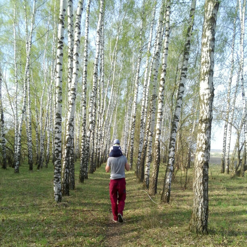 Анжелика Карпова | Люберцы