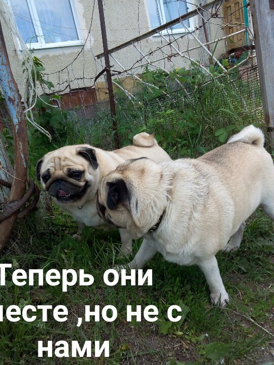 Юрий Домнин | Саратов