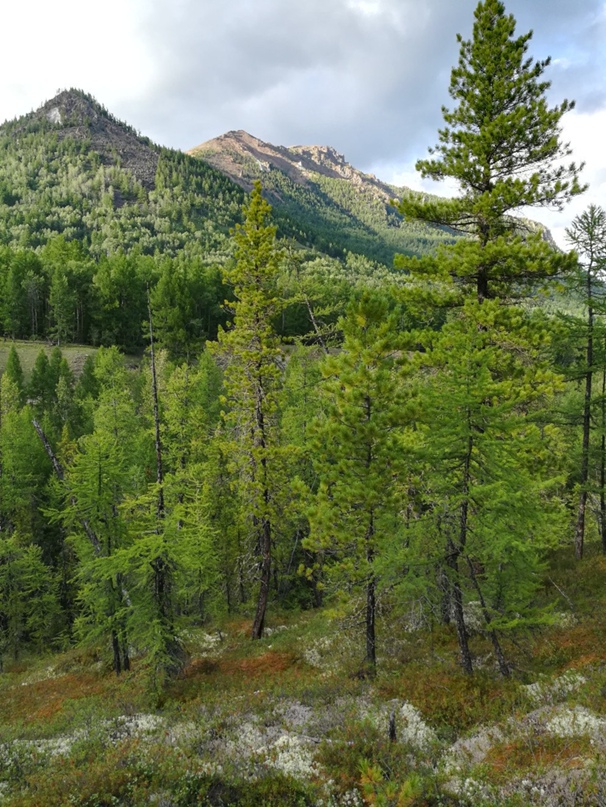 Мария Зайцева | Санкт-Петербург