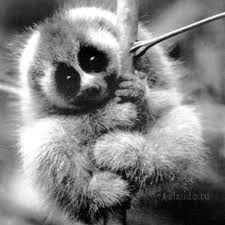 Татьяна Колобова | Москва