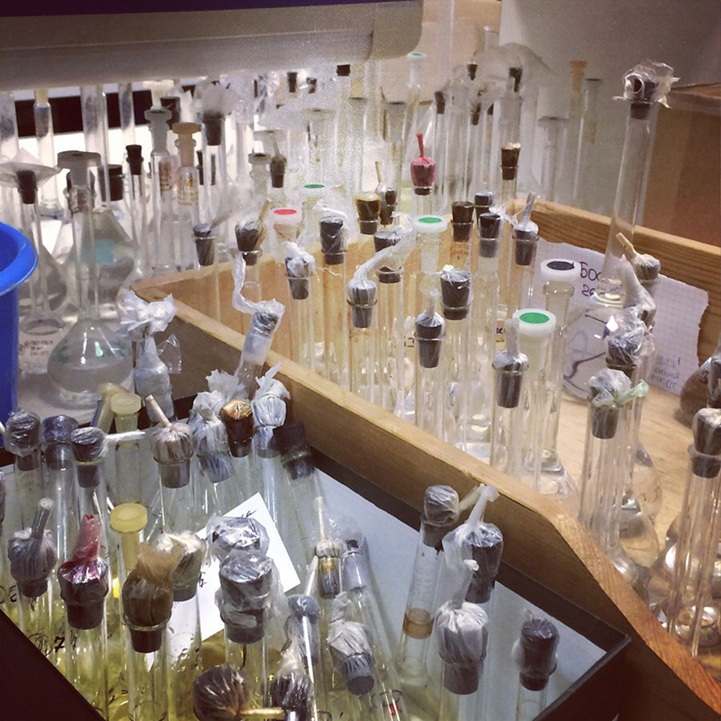 Марина Прокофьева | Екатеринбург