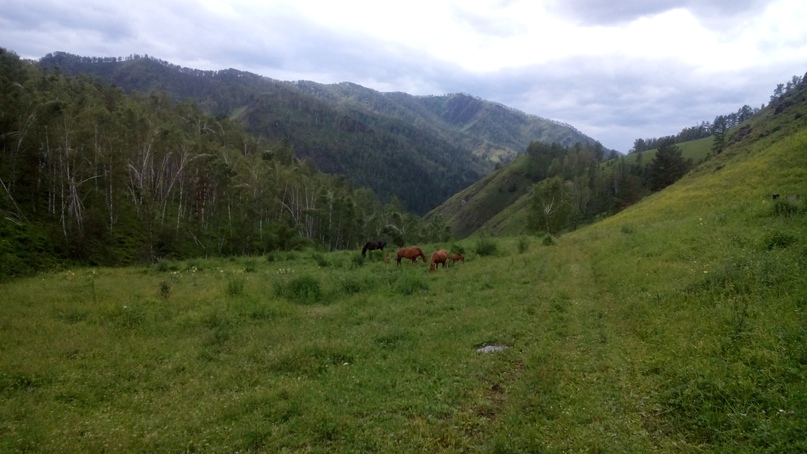 Роман Истомин | Новосибирск